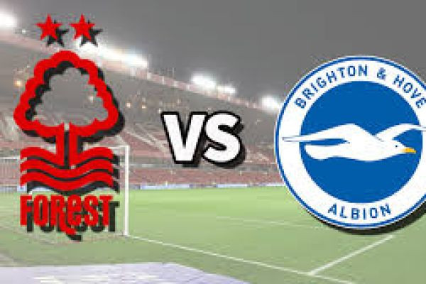 Forest vs Brighton