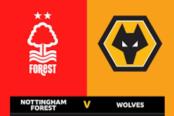 Forest vs Wolves